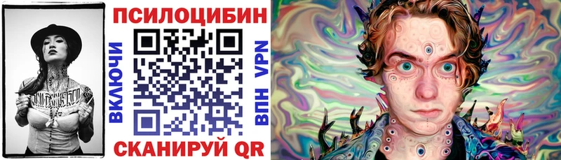 Псилоцибиновые грибы Psilocybe  где продают   Фёдоровский 